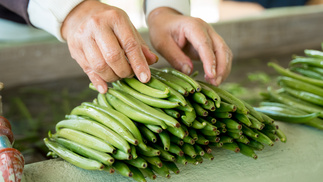 Vanillabeans.jpg