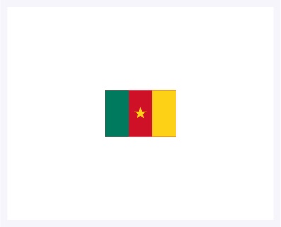 Die Flagge von Kamerun: von links nach rechts drei vertikale Streifen in grün, rot und gelb. In der Mitte ein gelber Stern. 